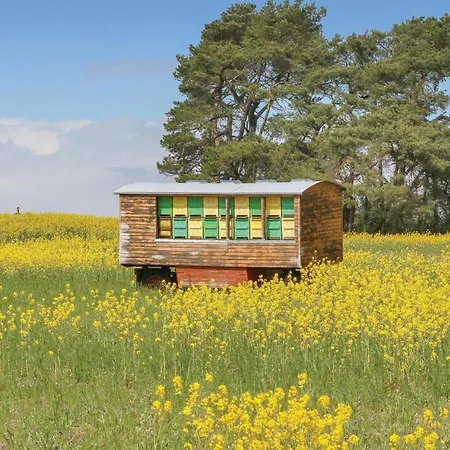 Reetdachhaus 17 Auf Usedom * Kutzow